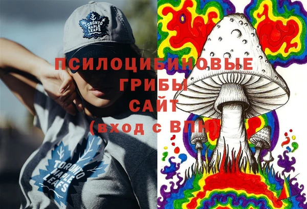 прущая мука Абаза