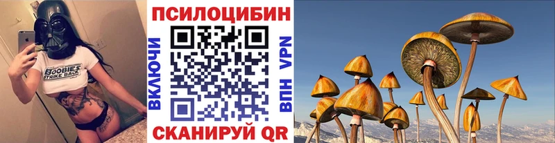 Галлюциногенные грибы Psilocybe ссылка на мегу как войти Абинск