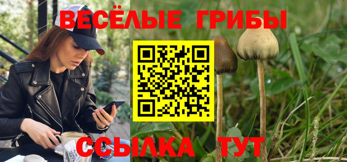 Абинск  Псилоцибиновые грибы Magic Shrooms  Вход с VPN 